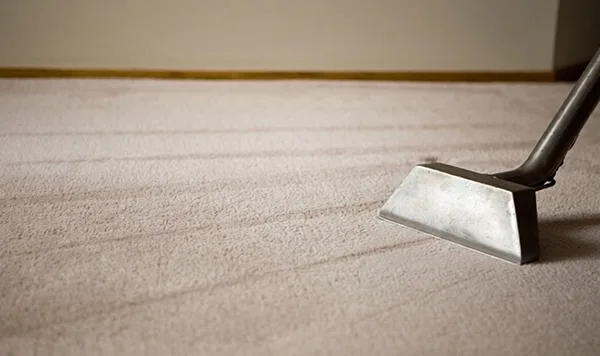 Expert Hourly Carpet and Fabric Cleaning for Long-Lasting Freshness